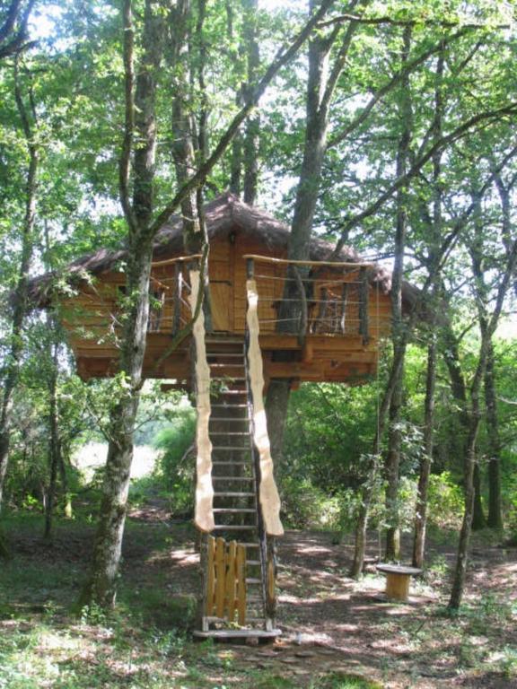 Une Nuit Aux Lierres... Vouzon Exterior foto